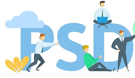 An illustration of the PSD.