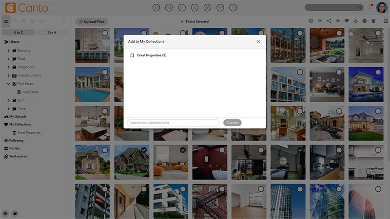 A screenshot of the digital asset management software.