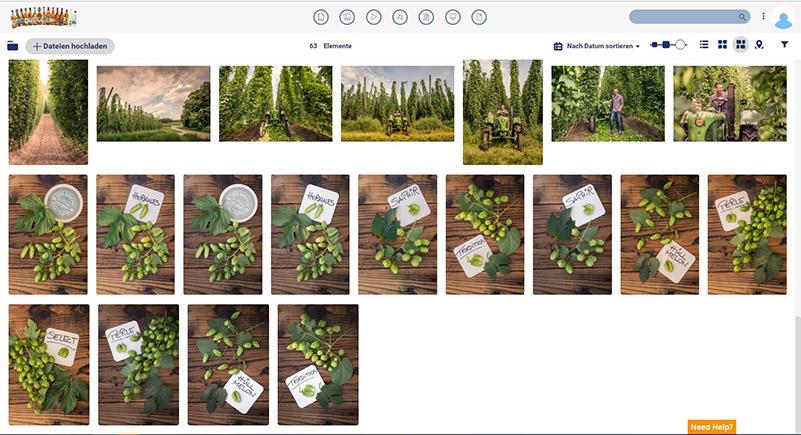 Photos in Canto – Kulmbacher visually and centrally organizes important media assets.