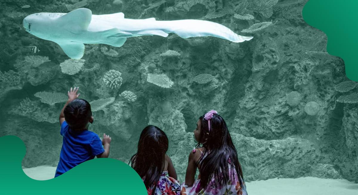 Seattle Aquarium header image in green showing fish in an aquarium.
