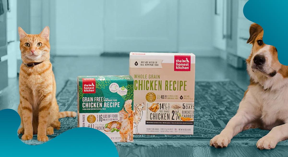 The Honest Kitchen header image in blue of a dog and cat next to their main product line.