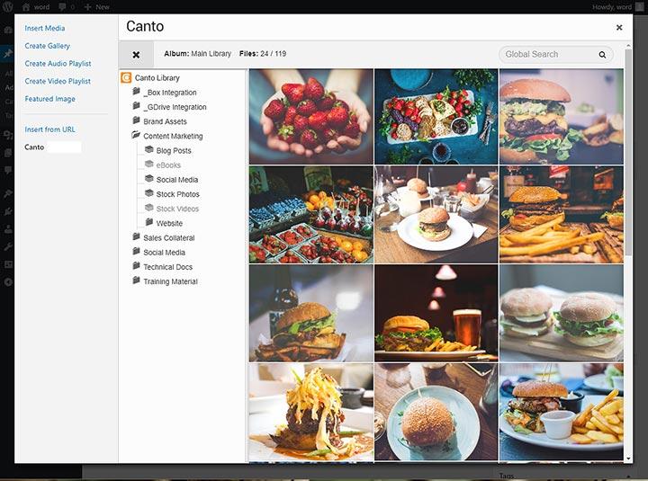 Screenshopt of the wordpress integration with the Canto DAM.