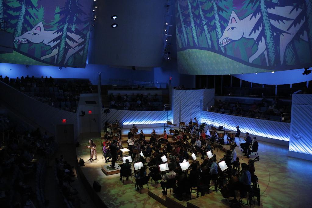 Photo of an orchestra in a concert hall with animations on the walls.