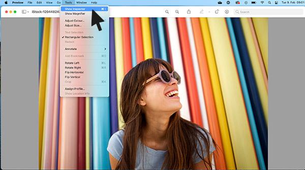 The 'Show Inspector' option.