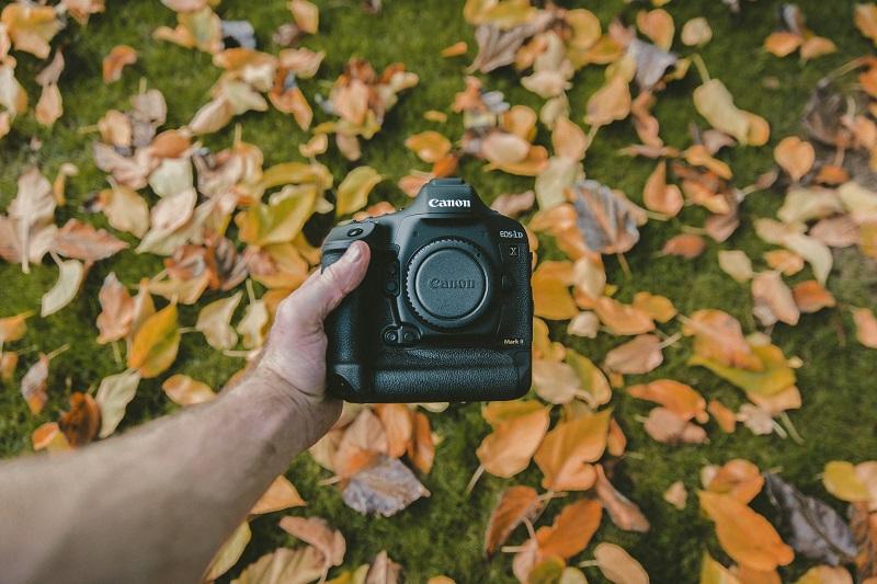 A Canon camera snapping a photo of leaves.