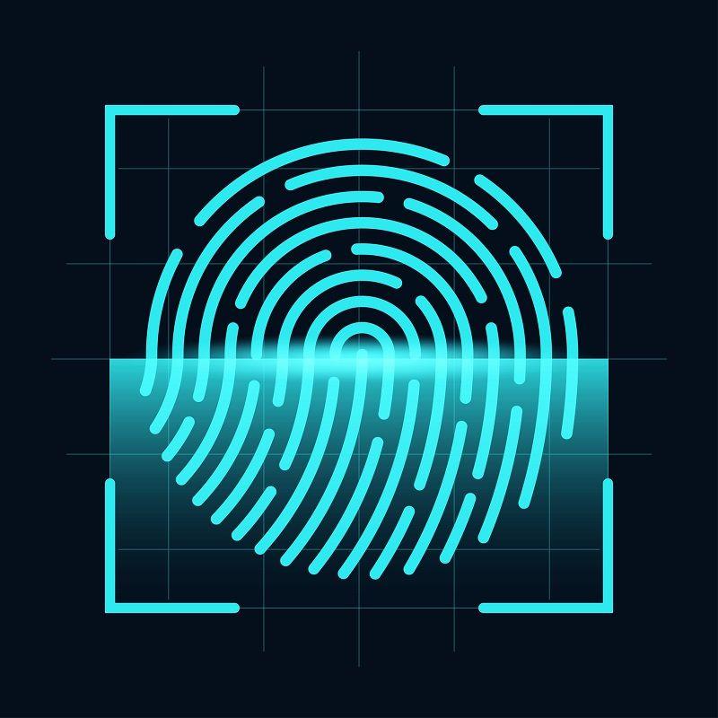 Digitale Darstellung eines Fingerabdrucks, der gescannt wird.