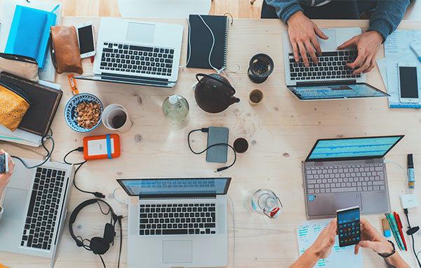 team working on laptops