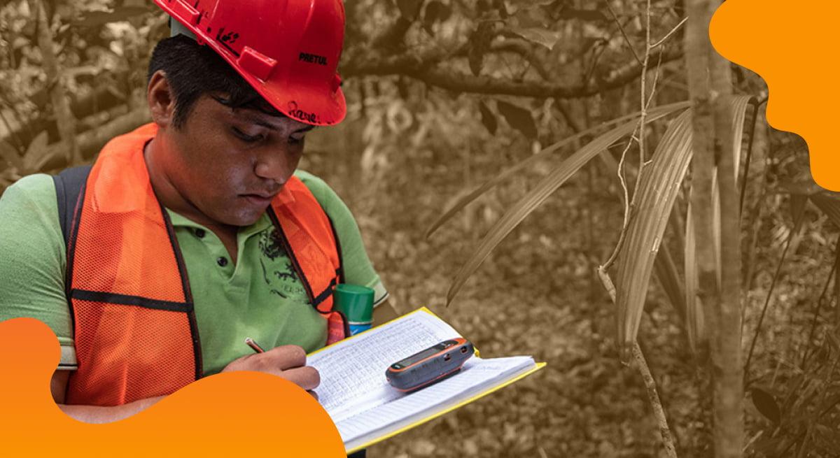 Forest Stewardship Council Denmark header image in orange showing a team member working in the woods.