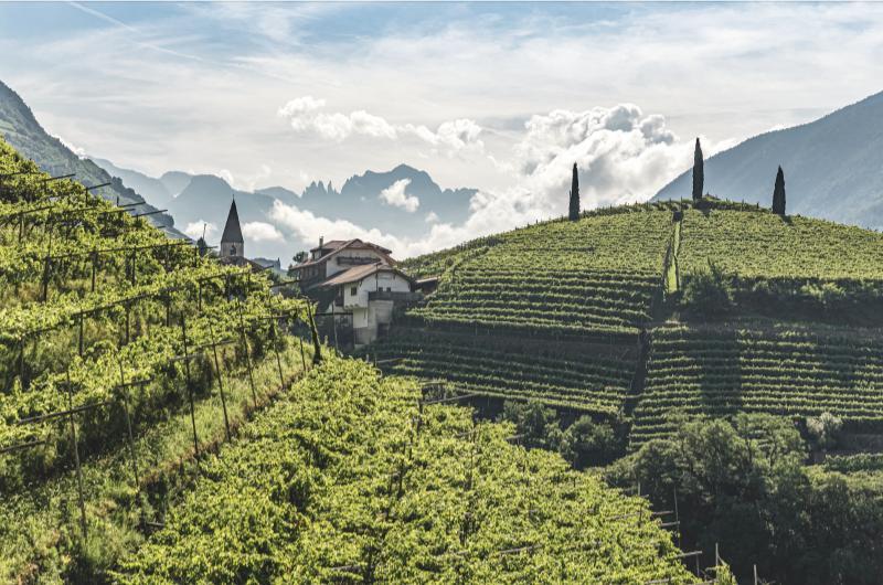 IDM/Südtirol Wein/Tiberio Sorvillo