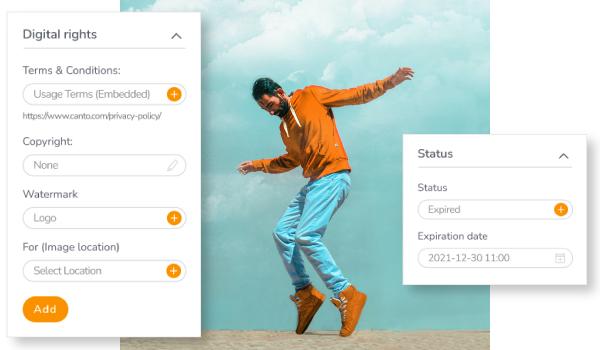 Canto admin controls for digital rights and asset approval.