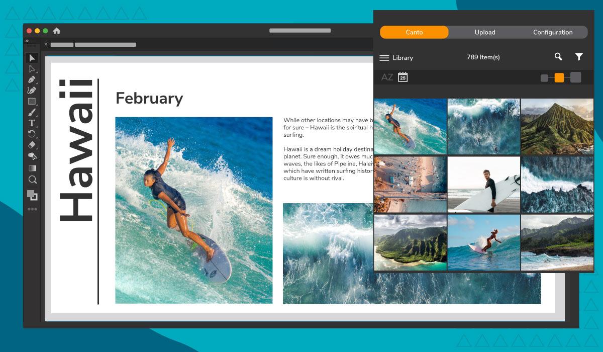 Canto connector in Adobe Creative Cloud showing image options for surfing layout.