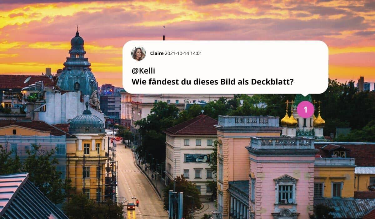 Ein Mitarbeiter in Hybridarbeit kommentiert ein Foto mit Ansichten des Straßenbilds von Sofia im DAM-System.