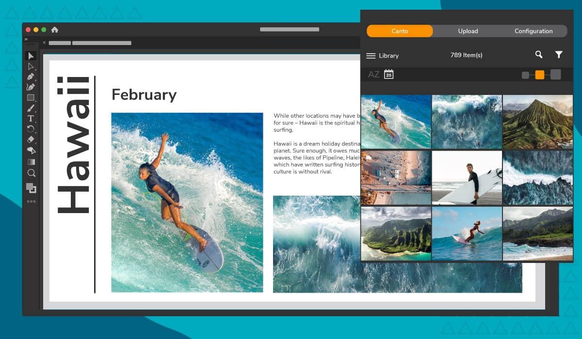 Der Canto Connector in Adobe Creative Cloud zeigt die Bildoptionen für das Layout zum Thema Surfen.