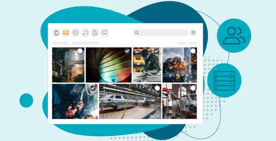 Image gallery in Canto's digital asset management platform.