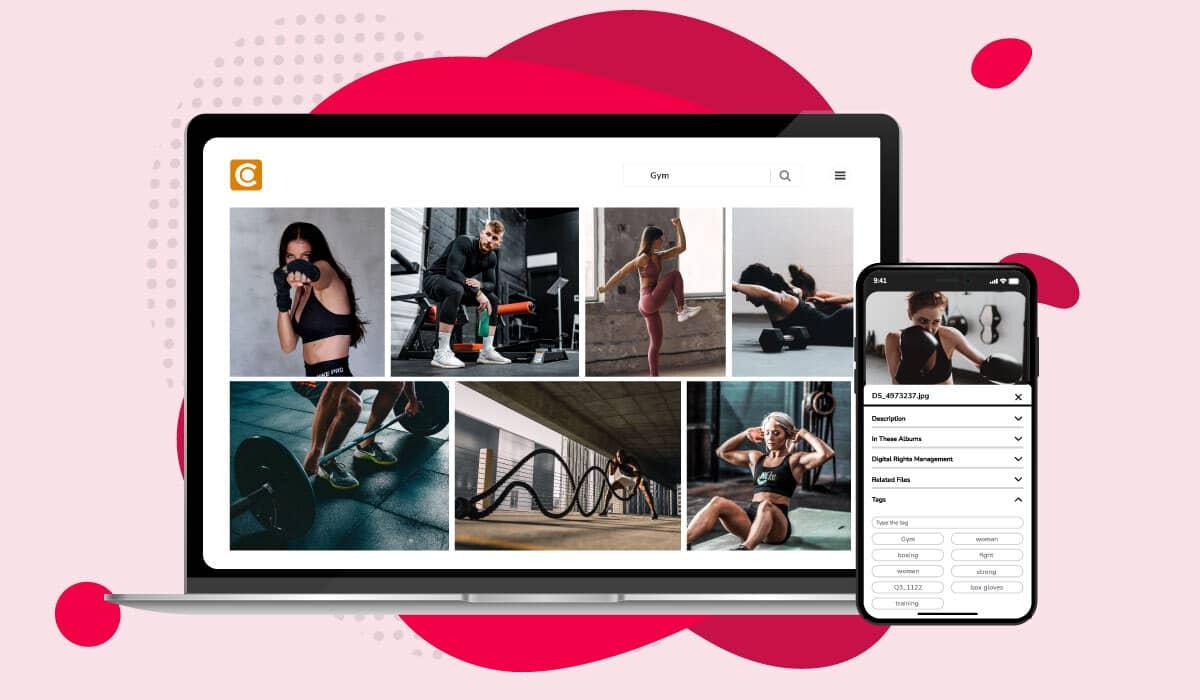 Bilder einer Marke aus dem Bereich Fitness mit Metadaten, die auf der Desktop-Version und in der Mobil-App von Canto angezeigt werden.