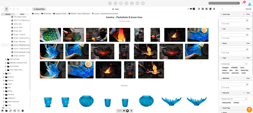 Screenshot der Asset-Bibliothek von Lalique in Canto.