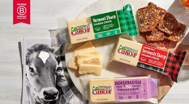top view image of the different types Cabot sharp cheddars with one green, one red, and one purple packaging on a plate with crackers over black and white images of a woman and a cow on a white counter, red "certified B corporation" logo in top left corner