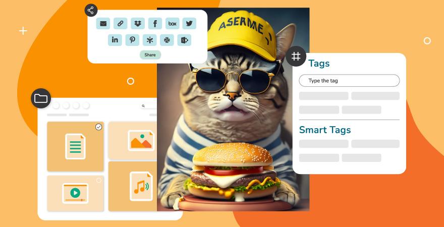 Image of a cat wearing a hat and shirt and sunglasses and eating a cheeseburger surrounded by Canto UI elements over an orange background.