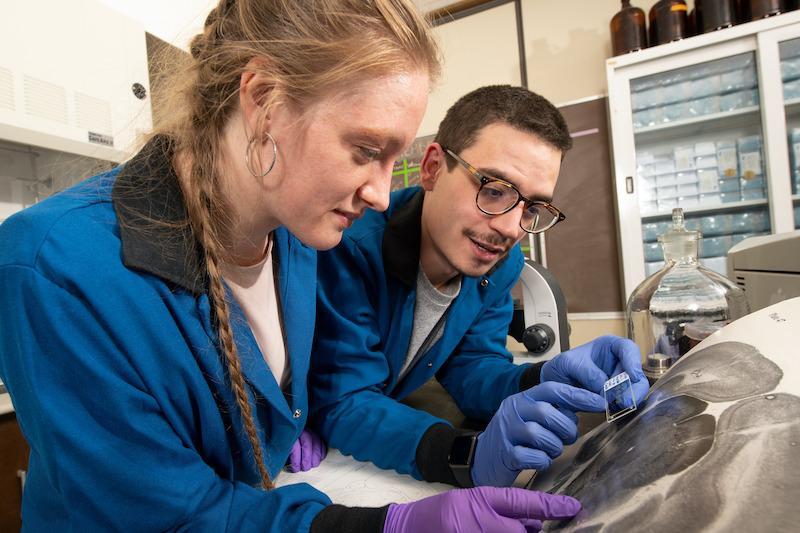 Two University of Wyoming graduate students compare a sample to a reference image in a biomedical research lab.