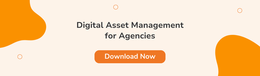 Call-to-action banner reading “Digital Asset Management for Agencies” with an orange “Download Now” button, promoting the best DAM software solutions for creative agencies.