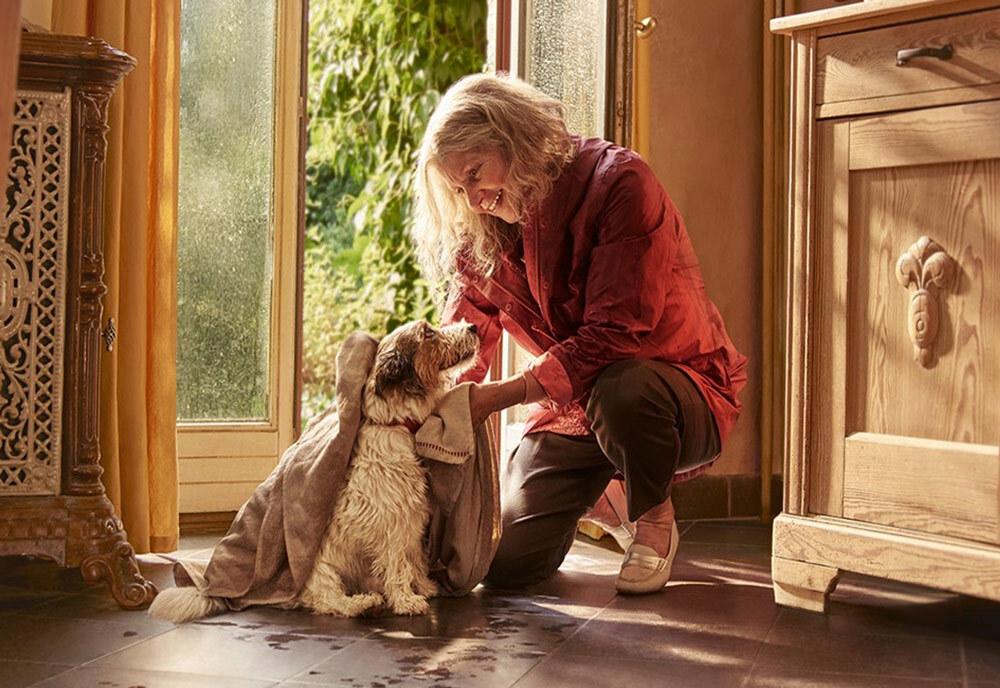 Das Titelbild des Erfahrungsberichts von Beaphar zeigt Frau und ihren Hund in einem sonnigen Zimmer.