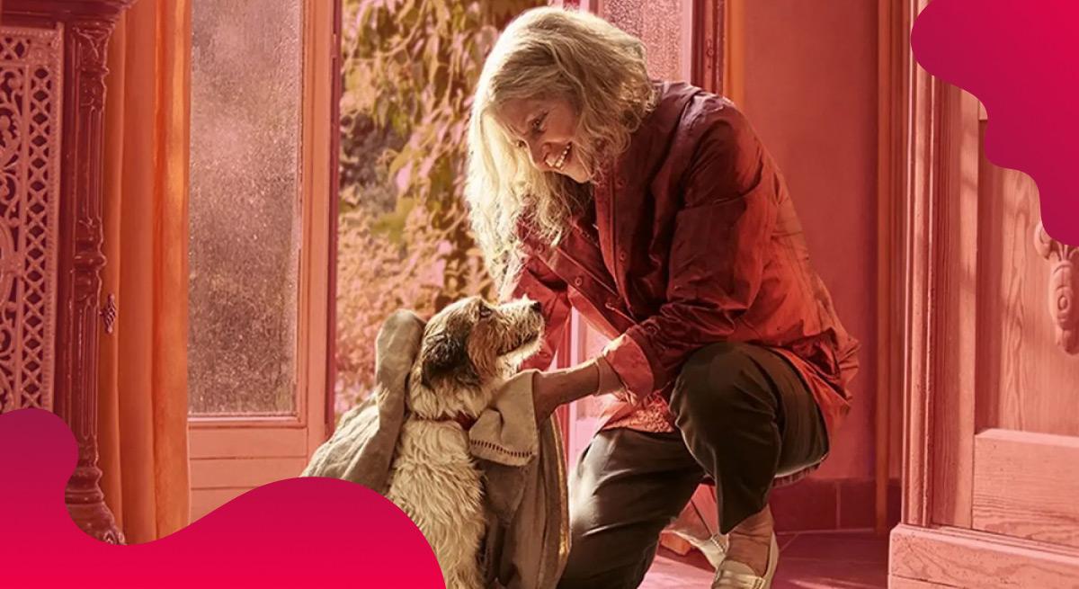 Das Titelbild des Erfahrungsberichts von Beaphar zeigt Frau und ihren Hund in einem sonnigen Zimmer.