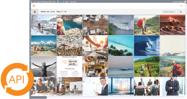 Canto API screenshot