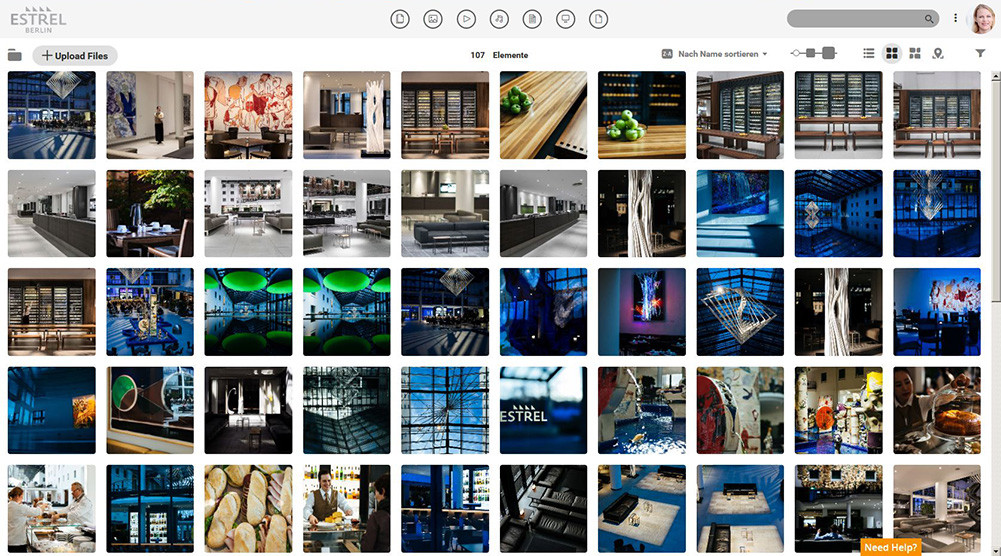 The ESTREL Hotel Berlin digital asset library organizing different images of interesting architecture