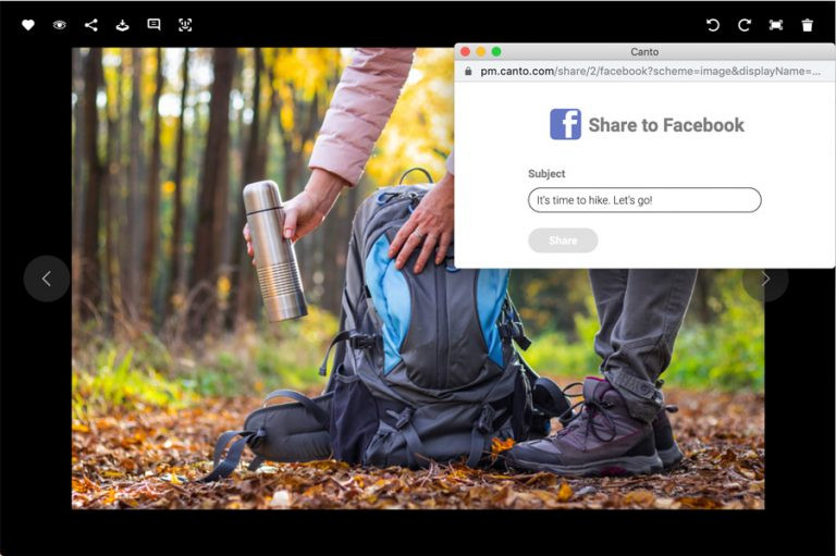 Screenshot of the detail view of an image in the Canto DAM, overlaid by a dialog box for sharing the image to facebook.