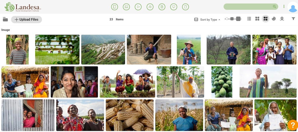 Screenshot of the digital asset media library for Landesa full of images of people, workers, natural landscapes and veggie assets