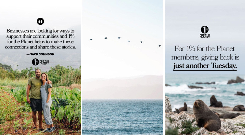 Three-panel image with Jack Johnson with a quote block. An image of an ocean with birds flying overhead. An image of seals on the beach. Logo 1% For The Planet.
